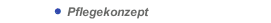 Pflegekonzept